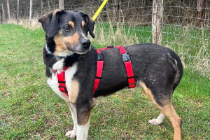 Profile picture of Kubus