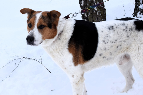 Profile picture of Laki