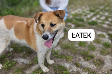 Profile picture of Latek