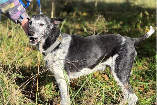 Profile picture of Lenor