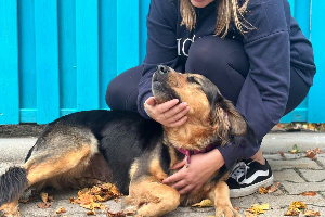 Leyla