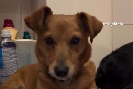 Profile picture of Lila en Antos