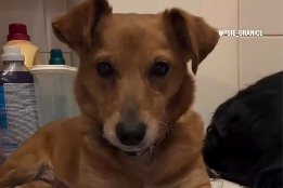 Profile picture of Lila