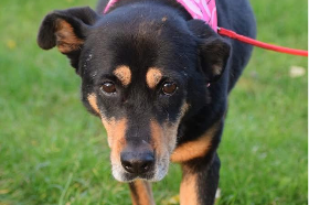 Profile picture of Magma