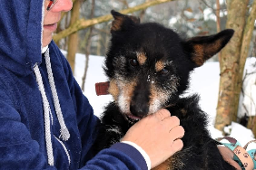 Profile picture of Malwina