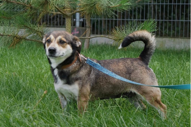 Profile picture of Manea