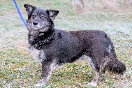 Profile picture of Manga