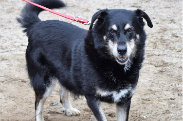 Profile picture of Marko