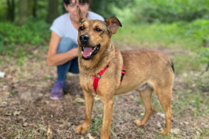 Profile picture of Mecenas