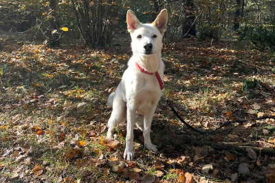 Profile picture of Mieszko