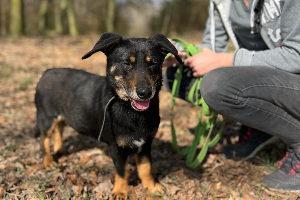 Profile picture of Mietek