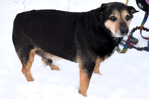 Profile picture of Mikus