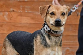 Profile picture of Mila