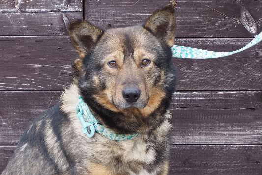 Profile picture of Milus