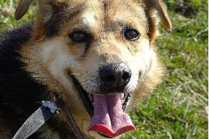 Profile picture of Misiek