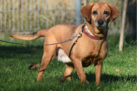 Profile picture of Morena