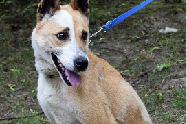 Profile picture of Murka