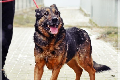 Profile picture of Niuniek