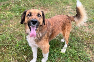 Profile picture of Nord