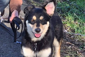 Profile picture of Norek