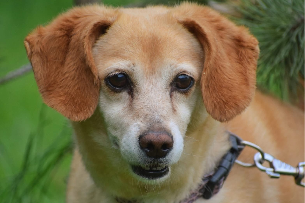 Profile picture of Nuka