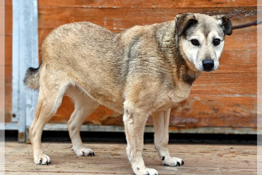 Profile picture of Oliwka