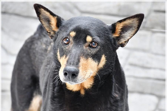 Profile picture of Osa