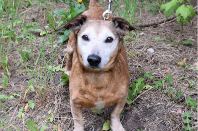 Oskar