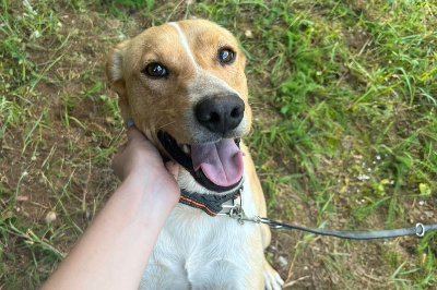 Oskar