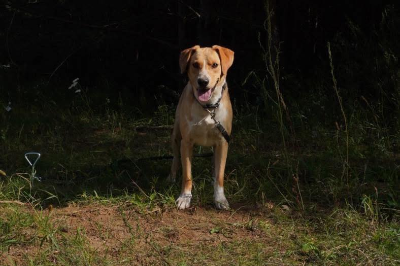 Oskar
