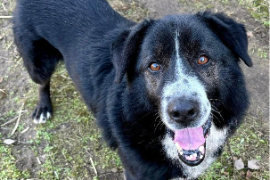 Profile picture of Paco