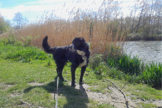 Profile picture of Paco