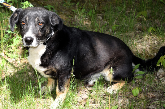 Profile picture of Paczek