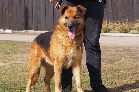 Profile picture of Peru
