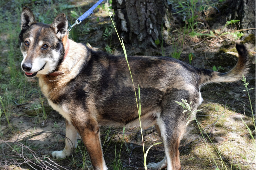 Profile picture of Pimpek 2