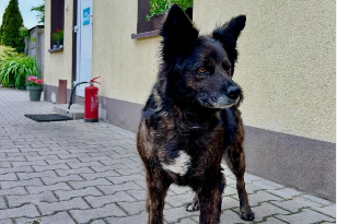 Profile picture of Polli