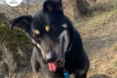 Profile picture of Radzio Stefan