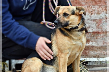 Profile picture of Rapik