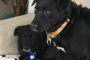 Profile picture of Roza en Flip