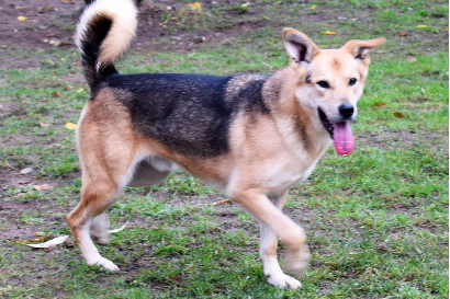 Profile picture of Ruben