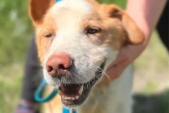 Profile picture of Rudi