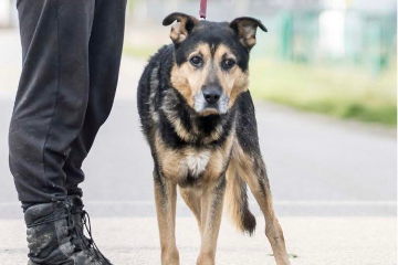 Profile picture of Rudni