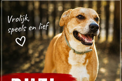 Profile picture of Rufi