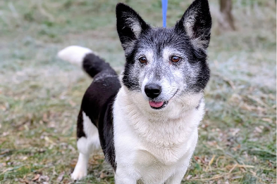 Profile picture of Sindy