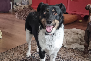 Profile picture of Sofia