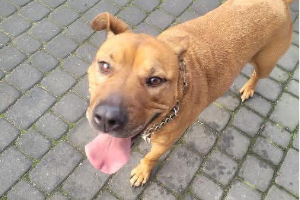 Profile picture of Sonia