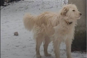 Profile picture of Stefan