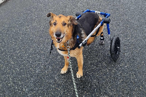 Profile picture of Sylwek