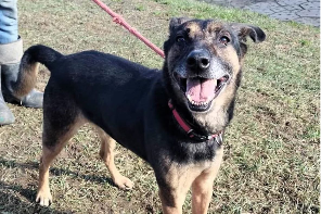 Profile picture of Szener