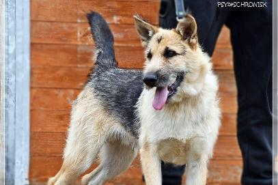 Profile picture of Szorstek